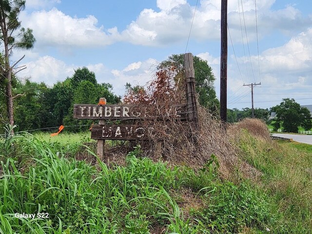40224 Fm 1488th Rd, Hempstead, TX 77445 - photo 10