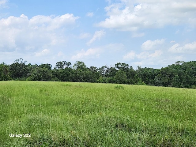 40224 Fm 1488th Rd, Hempstead, TX 77445 - photo 12