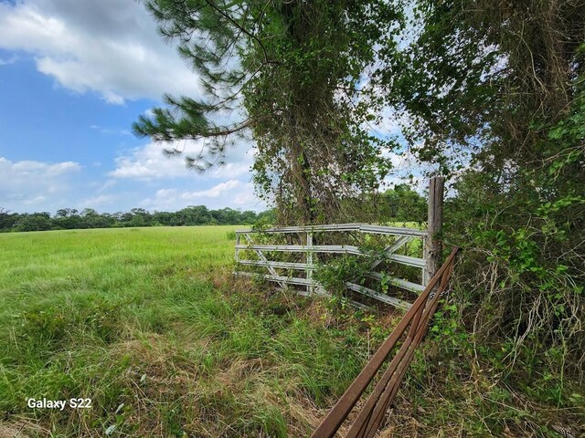 40224 Fm 1488th Rd, Hempstead, TX 77445 - photo 13