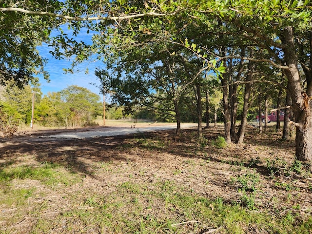 108 Live Oak Path, Somerville TX, 77879 land for sale