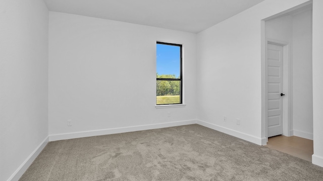 empty room featuring carpet