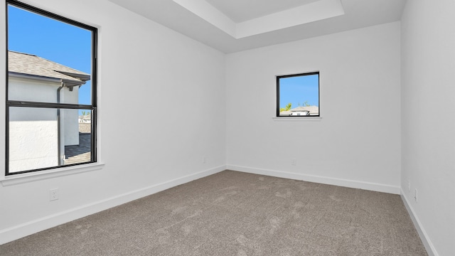 spare room featuring carpet flooring and a raised ceiling