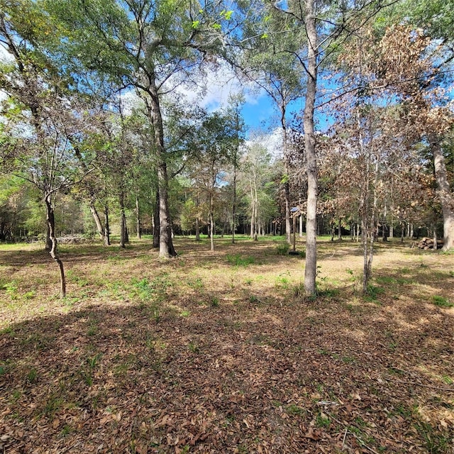 16481 Condra Rd, Conroe TX, 77306 land for sale