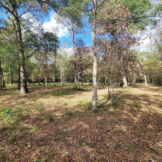 Listing photo 3 for 16481 Condra Rd, Conroe TX 77306