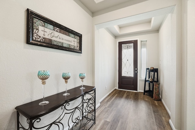 foyer entrance with hardwood / wood-style flooring and a raised ceiling