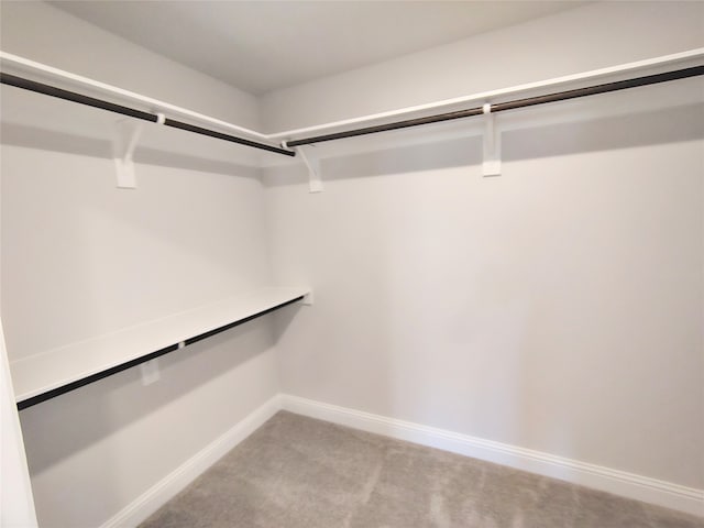 walk in closet featuring light carpet