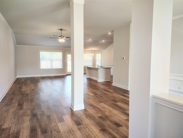 unfurnished living room featuring crown molding, ceiling fan, dark wood-type flooring, and sink