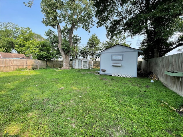 view of yard with a storage shed