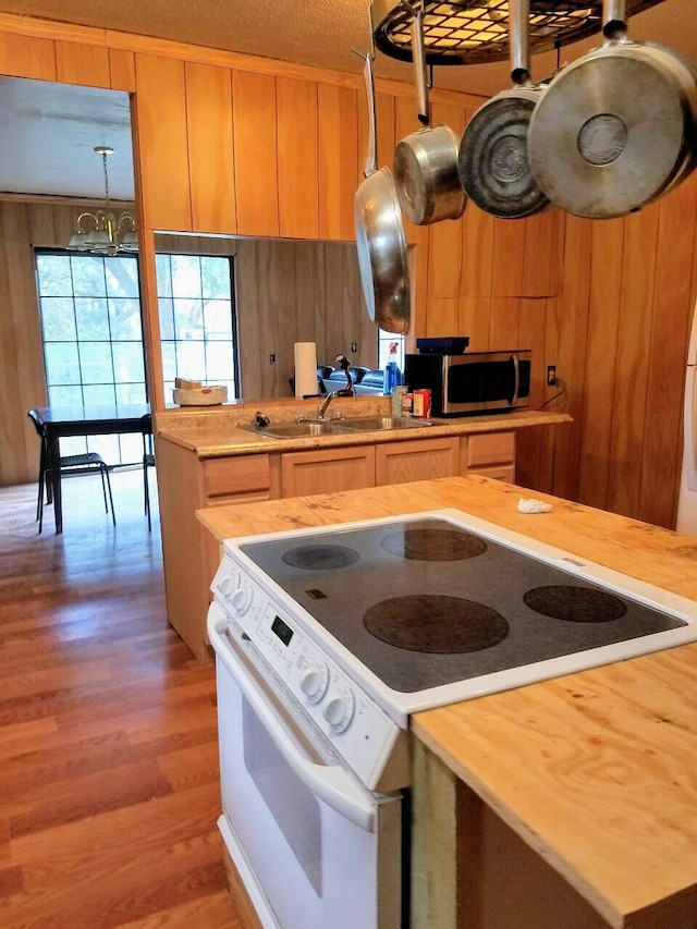 kitchen with hardwood / wood-style floors, white range with electric stovetop, sink, and wooden walls