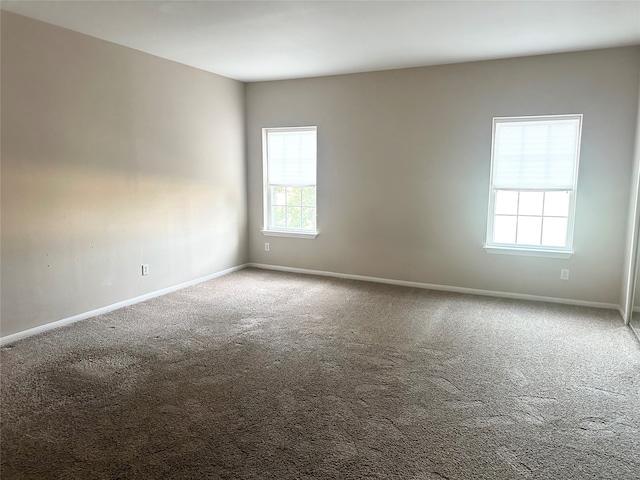 empty room featuring carpet