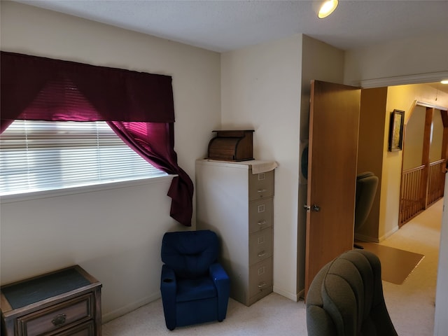 sitting room with light carpet