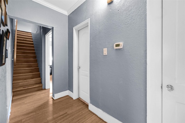 hall with hardwood / wood-style flooring and ornamental molding