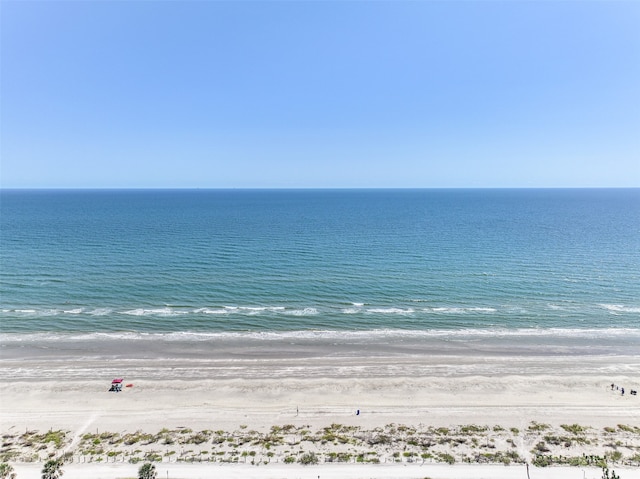 water view featuring a view of the beach