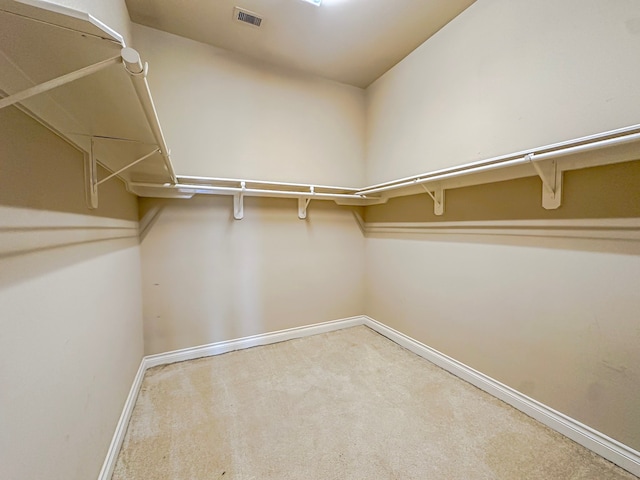 walk in closet with carpet floors