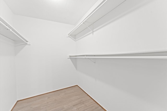 walk in closet with hardwood / wood-style flooring