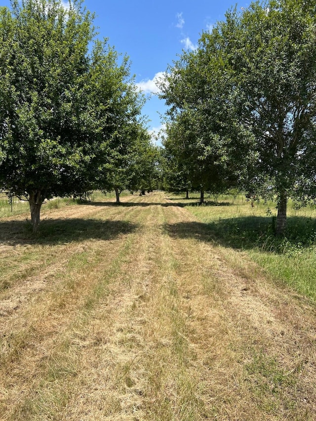 6998 Neiman Rd, Brookshire, TX 77423 - photo 1