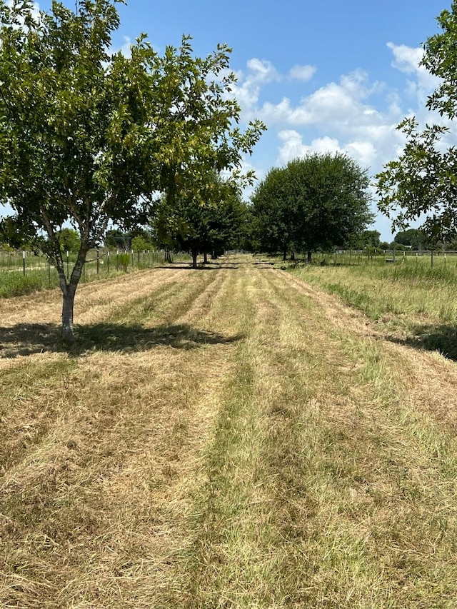 6998 Neiman Rd, Brookshire, TX 77423 - photo 3