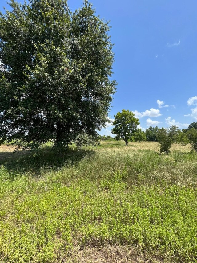 6998 Neiman Rd, Brookshire, TX 77423 - photo 10