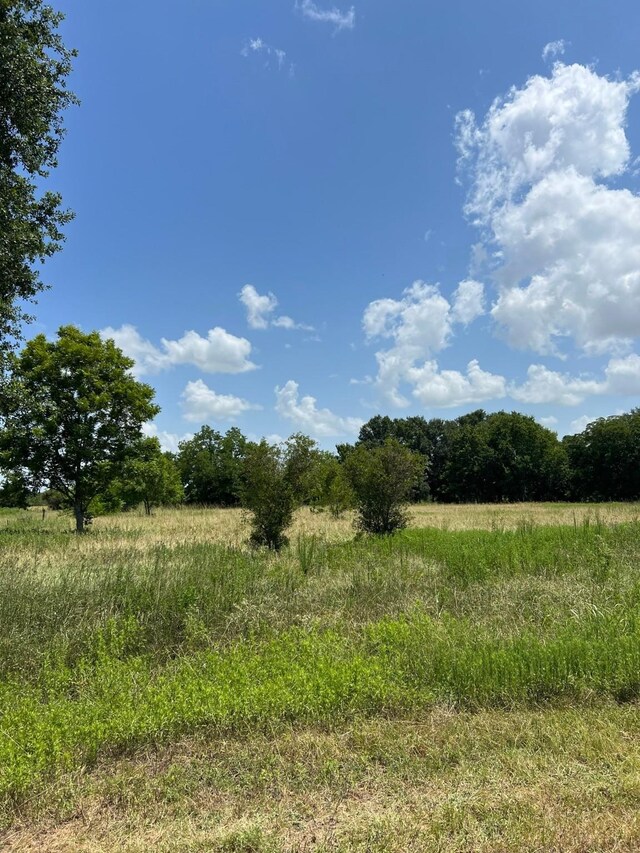 6998 Neiman Rd, Brookshire, TX 77423 - photo 7