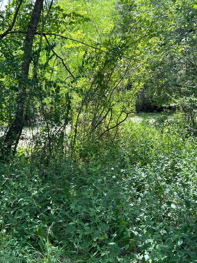 6998 Neiman Rd, Brookshire, TX 77423 - photo 24