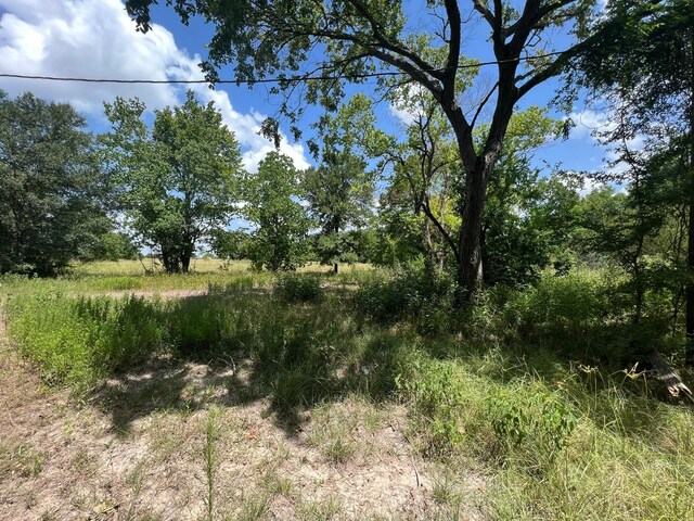 6998 Neiman Rd, Brookshire, TX 77423 - photo 25