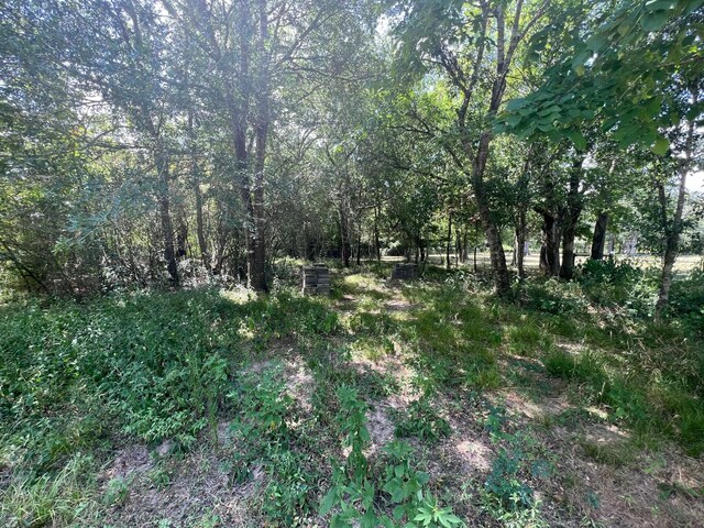 6998 Neiman Rd, Brookshire, TX 77423 - photo 26