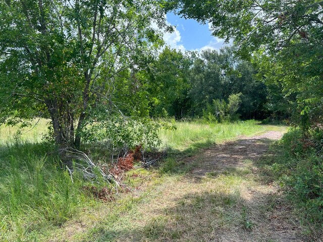 6998 Neiman Rd, Brookshire, TX 77423 - photo 28