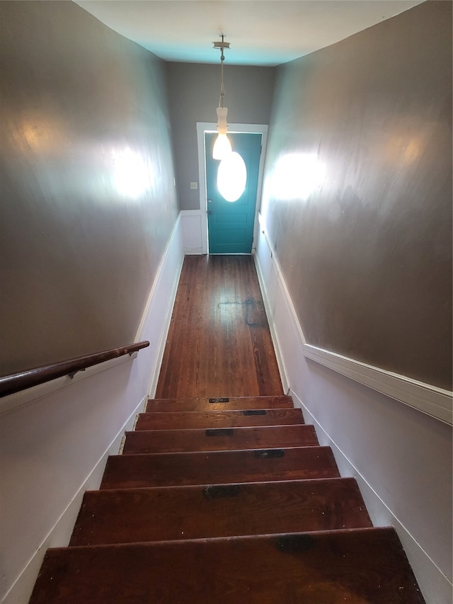 staircase featuring wood-type flooring