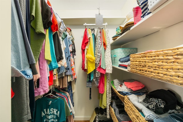 view of spacious closet