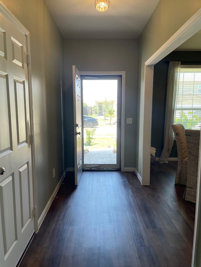 entryway with dark hardwood / wood-style floors and a healthy amount of sunlight