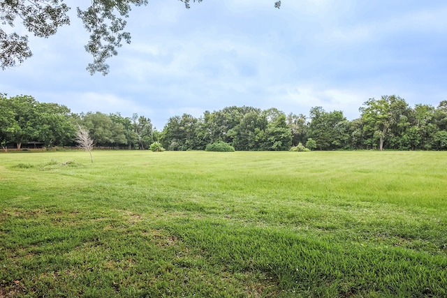 view of yard featuring a rural view