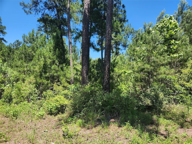 Listing photo 2 for LOT11 Cherry Tree Ln, Plantersville TX 77363