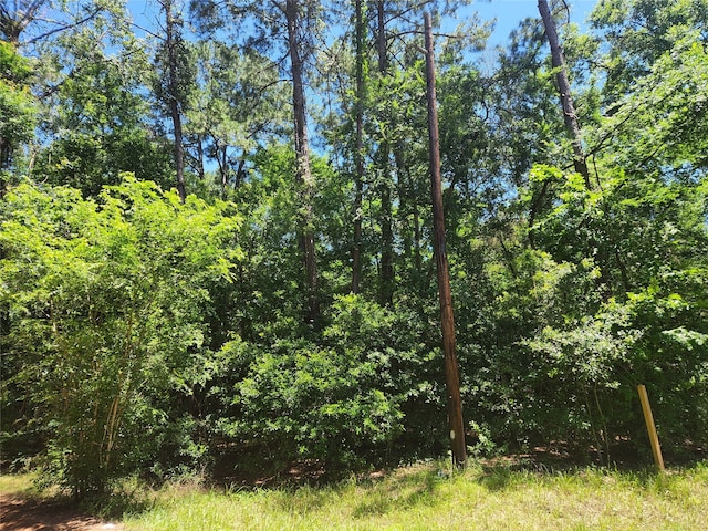 LOT1 Pineknoll Dr, Plantersville TX, 77363 land for sale