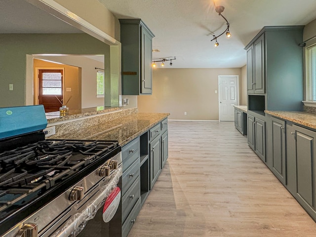 kitchen with track lighting, light wood-type flooring, range with two ovens, and gray cabinets