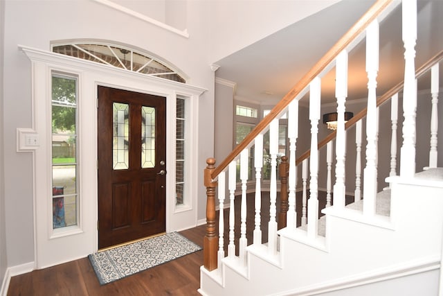 foyer with dark hardwood / wood-style floors