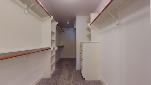 spacious closet with dark carpet