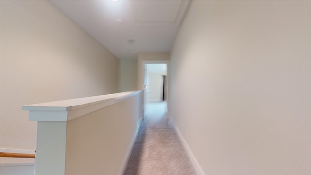 hallway featuring carpet flooring