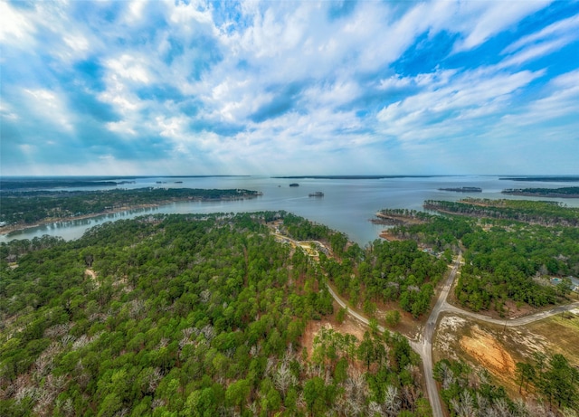 TBD Shoreline Dr, Brookeland TX, 75931 land for sale