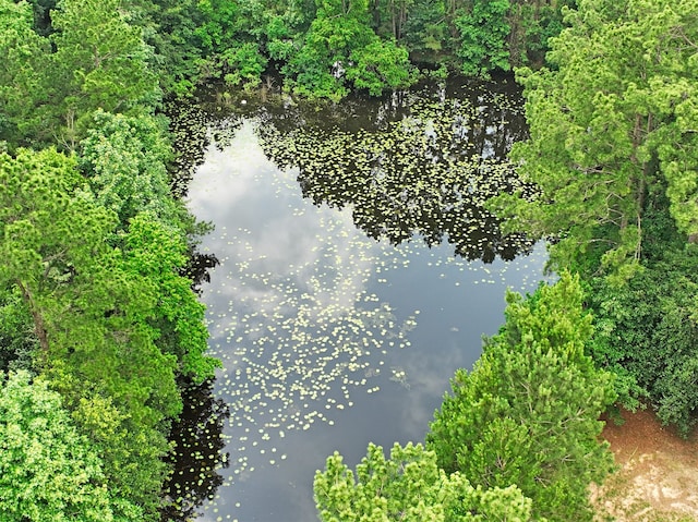 view of property view of water