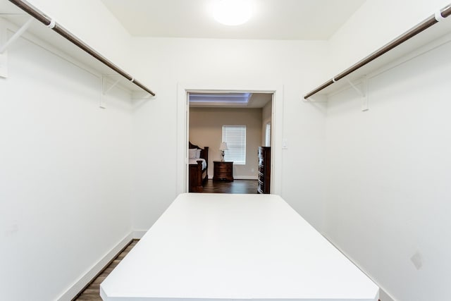 spacious closet featuring dark wood-type flooring