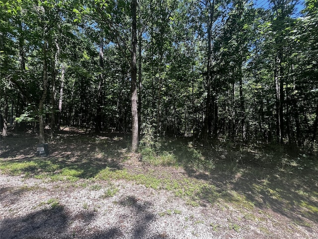 66 S Pine Harbour Dr, Coldspring TX, 77331 land for sale