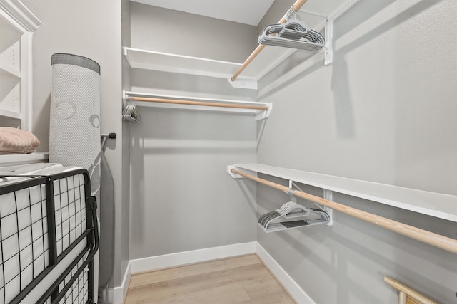 spacious closet featuring hardwood / wood-style flooring