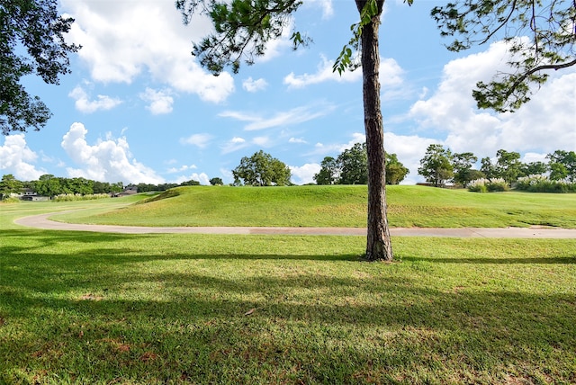 view of community featuring a lawn