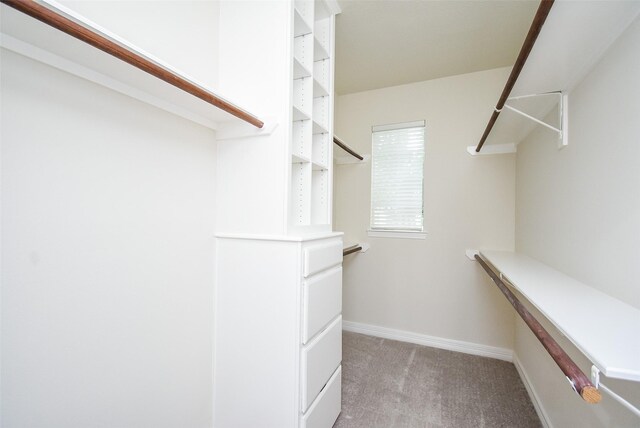 walk in closet featuring light colored carpet