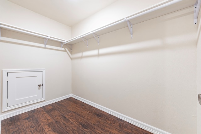 spacious closet featuring hardwood / wood-style flooring