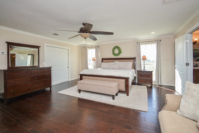 bedroom featuring dark hardwood / wood-style floors, ceiling fan, a closet, and ornamental molding