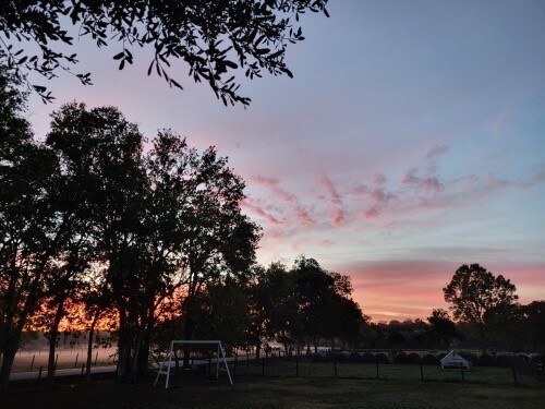 view of yard at dusk