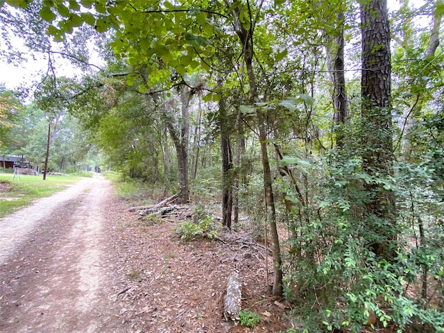 Listing photo 2 for TBD Rocking R St, Splendora TX 77372