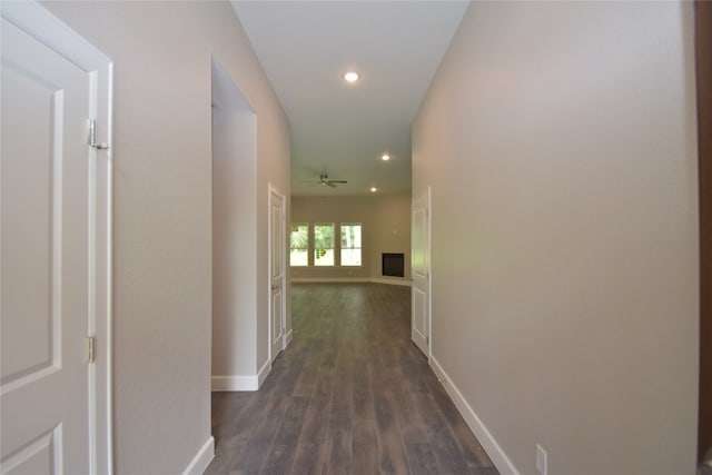 hallway with dark hardwood / wood-style floors