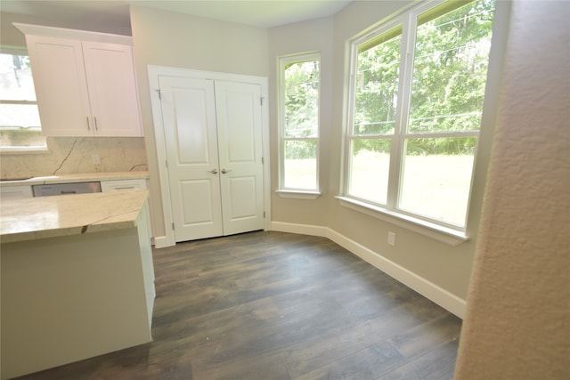 kitchen featuring plenty of natural light, tasteful backsplash, and dark wood-type flooring